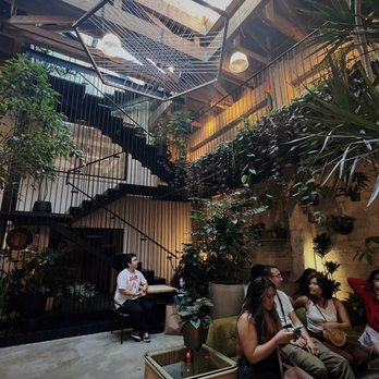 Arcana - Inside - Nurseries & Gardening Near Me - San Francisco, California