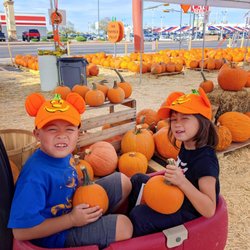 Beth El Pumpkin Patch