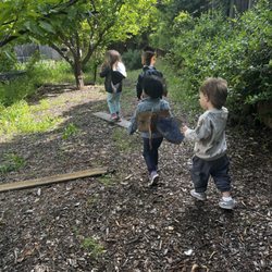 Kids in nature exploring