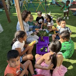 The Magic Stone Family Childcare - Always, we learn some special things about our environment.