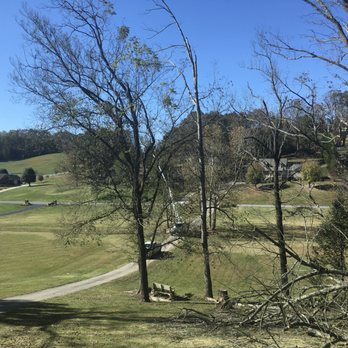 Barrett's Tree Service - Tree Services Near Me - South Burlington, Vermont