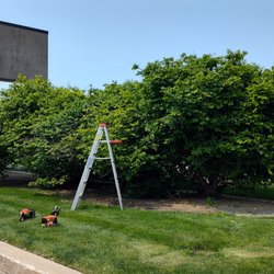 Legacy Yard