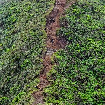 Moanalua Valley Trail - How it looks like! - Hiking Near Me - Moanalua, Hawaii Moanalua Valley Trail - How it looks like! - Hiking Near Me - Moanalua, Hawaii