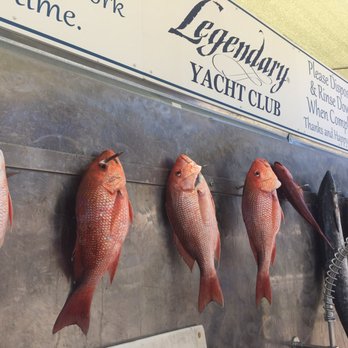 Boat Charter Destin - Boat Charters Near Me - Destin, Florida Boat Charter Destin - Boat Charters Near Me - Destin, Florida