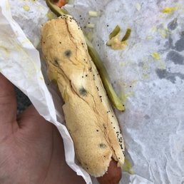 Hotdog w/ everything + MOLD Hotdog w/ everything + MOLD