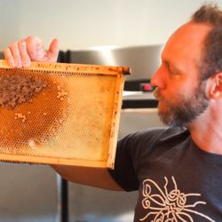 Drink Williamsburg - Real honey used in drinks from the Silver Hand Meadery.