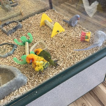Dubey's Pet World - Pet Stores Near Me - Graham, North Carolina
