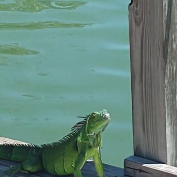Hampton Inn Marathon - Florida Keys - Hotels Near Me - Marathon, Florida
