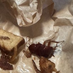 Fries with a ROACH