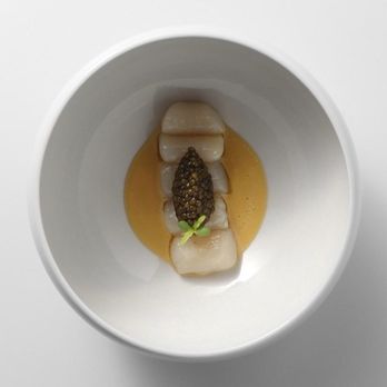 Grey Sweater - Bay scallops, caviar, passion fruit sauce. - New American Near Me - Oklahoma City, Oklahoma Grey Sweater - Bay scallops, caviar, passion fruit sauce. - New American Near Me - Oklahoma City, Oklahoma