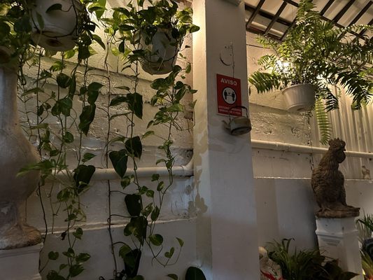 La Casita Blanca by null