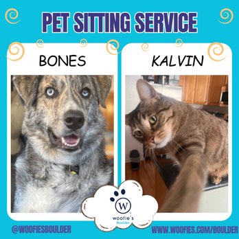 Woofie's of Boulder - Pet Groomers Near Me Woofie's of Boulder - Pet Groomers Near Me