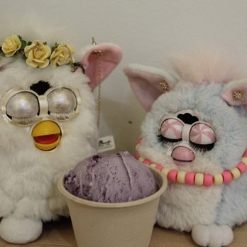 Wild Scoops - We love it! - Ice Cream & Frozen Yogurt Near Me - Anchorage, Alaska Wild Scoops - We love it! - Ice Cream & Frozen Yogurt Near Me - Anchorage, Alaska