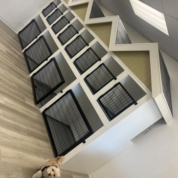 The Floor Shop - Doggie suites (Furologist Dog Spa) - Flooring Near Me
