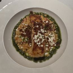 Salmon