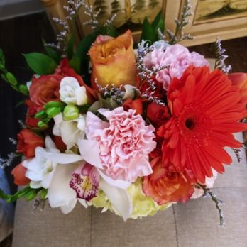 Venetian Flowers - Florists Near Me - Venice, Florida Venetian Flowers - Florists Near Me - Venice, Florida
