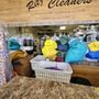 Photo of Ritz Cleaners