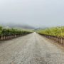 Photo of Dominus Estate