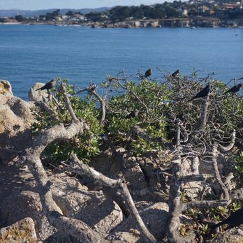 Lovers Point Park - Parks Near Me - Pacific Grove, California Lovers Point Park - Parks Near Me - Pacific Grove, California