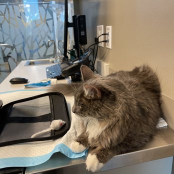 The PARC - Emergency Pet Hospital Near Me - Fort Worth, Texas The PARC - Emergency Pet Hospital Near Me - Fort Worth, Texas