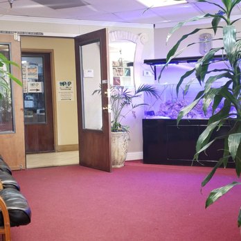 Thuy Tran, DC - Chiropractors Near Me - San Jose, California