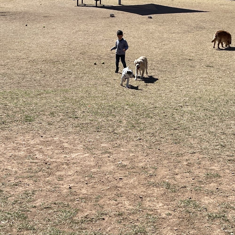 Alta Vista Park - Dog Parks Near Me - Peoria, Arizona