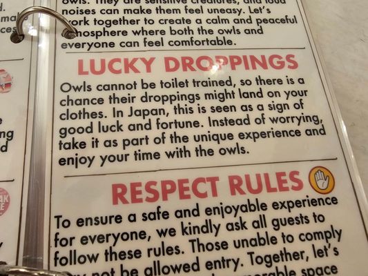 Owl Cafe Tokyo by null