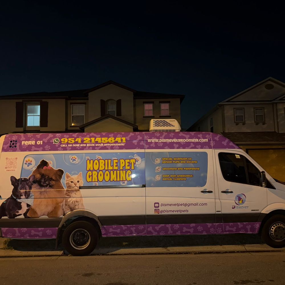 Are There Mobile Cat Grooming near Me: Find Trusted Experts Fast