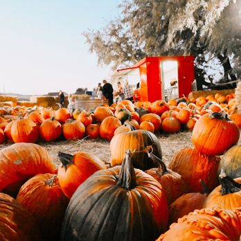 Evans Family Farm - Pumpkins - Pumpkin Patches Near Me - Lehi, Utah Evans Family Farm - Pumpkins - Pumpkin Patches Near Me - Lehi, Utah