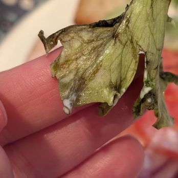 Panera Bread - Salad Near Me - East Hanover, New Jersey