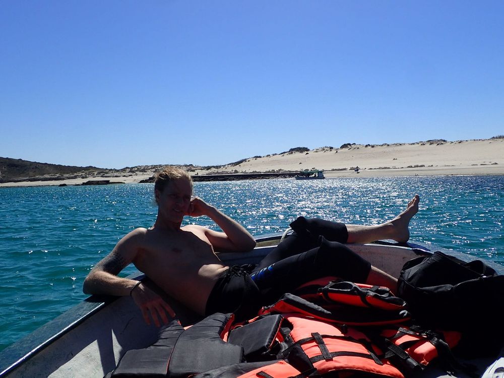 SHARK ENCOUNTERS Updated September 2024 12 Photos Col. Centro, La