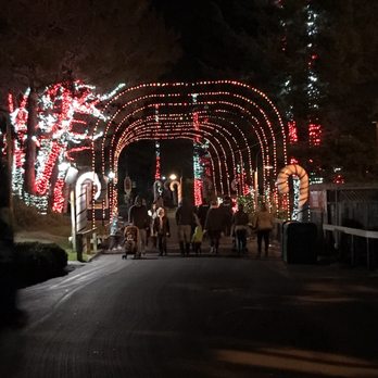 Six Flags Discovery Kingdom Parking Lot - Candy cane lane - Parking Near Me - Vallejo, California Six Flags Discovery Kingdom Parking Lot - Candy cane lane - Parking Near Me - Vallejo, California