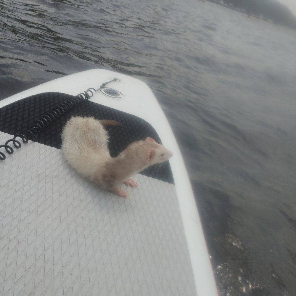 Aquaventuresct - Rafting/Kayaking Near Me - Glastonbury, Connecticut