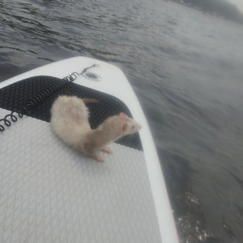 Aquaventuresct - Rafting/Kayaking Near Me - Glastonbury, Connecticut