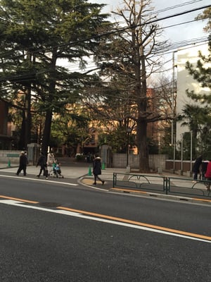 Tokyo University of Agriculture by null