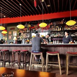 Songbird - Cool bar