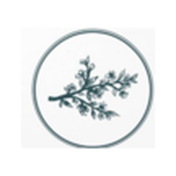 RENU Beauty & Wellness
