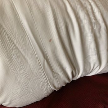 Edgewater - More blood????? - Hotels Near Me - Laughlin, Nevada Edgewater - More blood????? - Hotels Near Me - Laughlin, Nevada