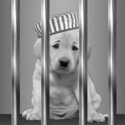 Alma Bail Bonds - Knowledable, relialbe, kind and prompt service!