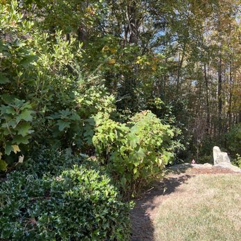 Speno's Lawn Care - Edged lawn and pruned shrubs. - Snow Removal Near Me Speno's Lawn Care - Edged lawn and pruned shrubs. - Snow Removal Near Me