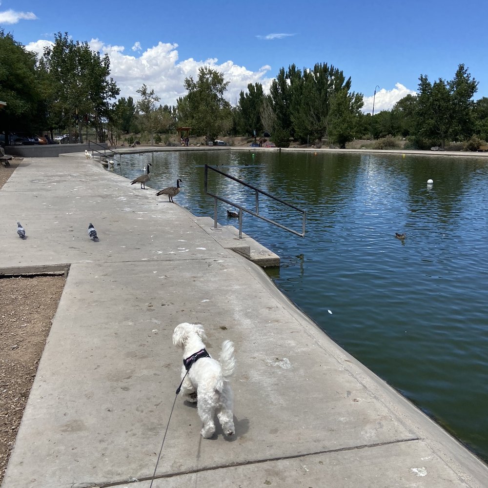 Tingley Beach - Beaches Near Me - Albuquerque, New Mexico Tingley Beach - Beaches Near Me - Albuquerque, New Mexico