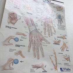 San Mateo Orthopedic Medical Group