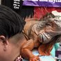 Photo of Amazing Pet Expo San Diego
