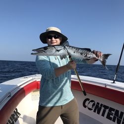 Southern Sportfishing - Big barracuda