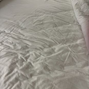 Hampton Inn Ft. Chiswell-Max Meadows - Pulled back the duvet and found dirty sheets! - Hotels Near Me - Max Meadows, Virginia Hampton Inn Ft. Chiswell-Max Meadows - Pulled back the duvet and found dirty sheets! - Hotels Near Me - Max Meadows, Virginia