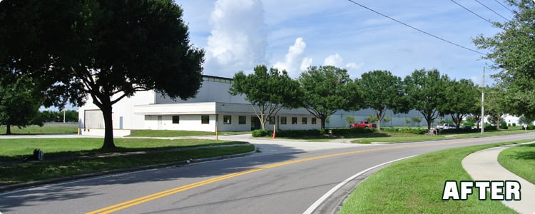 Beaver Tree Service - tree service in Orlando, FL