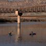 Photo of Moab Canoe