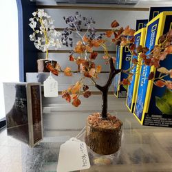 Nancy Myers Science Gift Shop