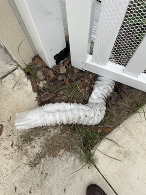 GRASS ROOTS - Updated June 2026 - 14827 10th St, Dade City
