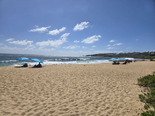 Shipwreck Beach by null